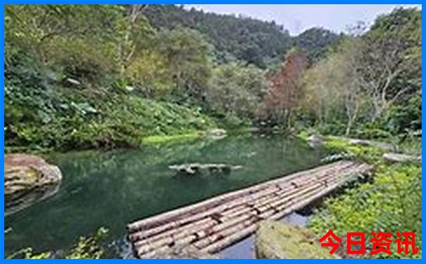 暑期出国旅游去哪里好